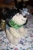 20061014.peiting12.jpg