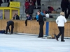 20120127.Waldkirchen05.jpg